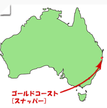 サンライズポイント地図